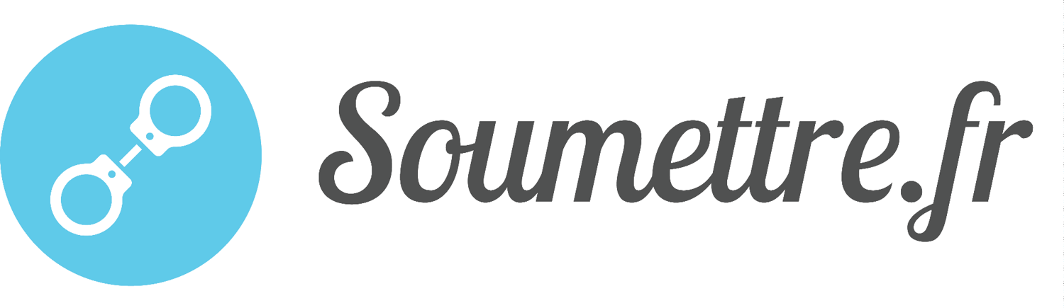 Logo Soumettre.fr / Bleetic